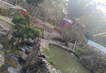 顶上乡村第 15 张图片