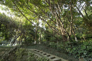 宜宾市翠屏山景区第 25 张图片