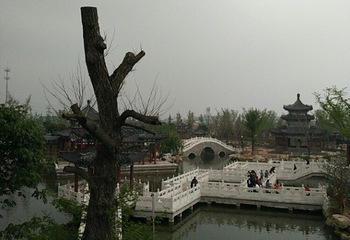 丽正园第 32 张图片