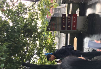 成都周游卡（青城山—都江堰+熊猫基地）第 16 张图片