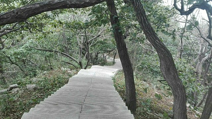 桐柏山淮源风景区第 32 张图片