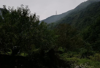 绵州温泉第 20 张图片