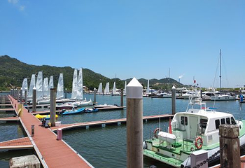 巽寮湾帆船出海第 33 张图片