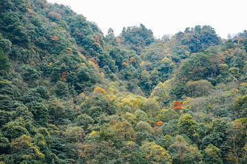 东拉山大峡谷第 13 张图片
