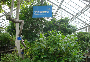 国家植物园南园第 23 张图片