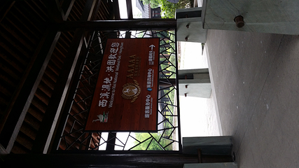 西溪湿地印象摇橹船第 17 张图片