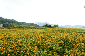 六十石山风景区第 30 张图片