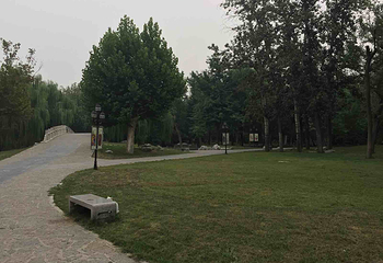 西沽公园第 16 张图片