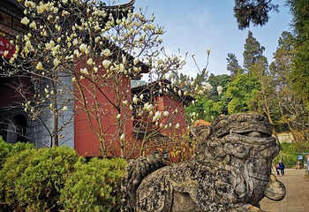 西山风景区-太华寺第 14 张图片