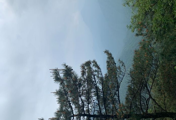 羊狮慕风景区第 85 张图片