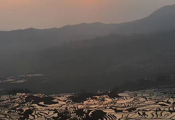 多依树梯田第 15 张图片