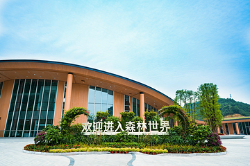 高峰森林公园第 40 张图片