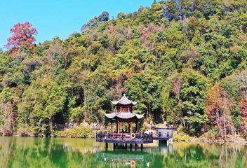 阳明山国家森林公园第 35 张图片