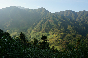 婺源石门峡山野秘境第 68 张图片