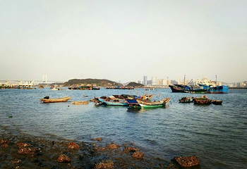 厦门海沧大桥旅游区第 25 张图片
