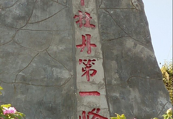 重庆垫江牡丹生态旅游区第 22 张图片