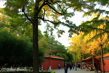景山公园第 31 张图片