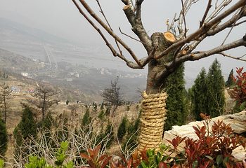 荆涂山风景区第 5 张图片
