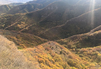 僧冠峰第 14 张图片