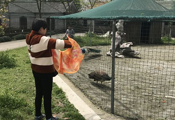 澳多奇农庄第 11 张图片
