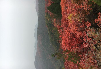 竹林长寿山第 29 张图片