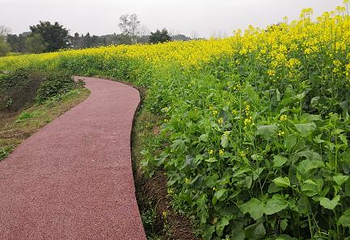 双江古镇第 19 张图片