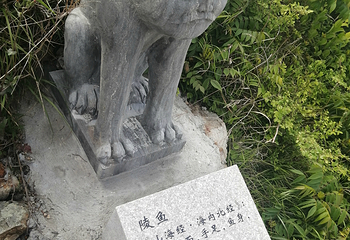 中国石塘第 60 张图片