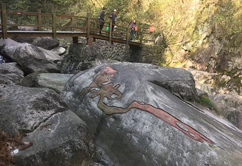 安吉龙王山风景区第 17 张图片
