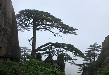 黄山云谷索道第 12 张图片