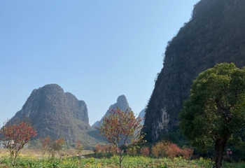 钟山水墨田园第 5 张图片