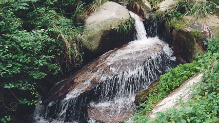 梅岭国家级风景名胜区第 53 张图片