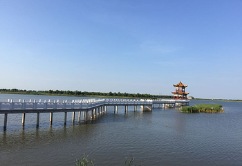 大安嫩江湾旅游区第 20 张图片
