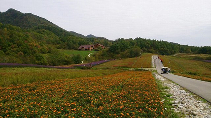 红池坝风景区第 37 张图片