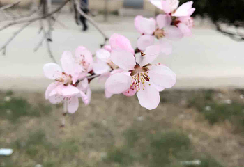 太平湾第 3 张图片