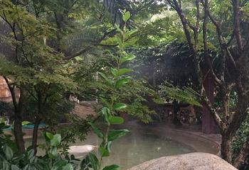 麒麟温泉spa第 11 张图片