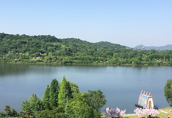 齐山平天湖景区第 18 张图片