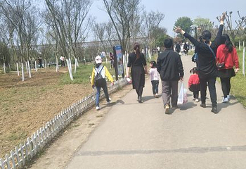 紫薇都市田园第 74 张图片