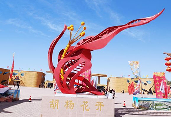 金塔胡杨林第 40 张图片