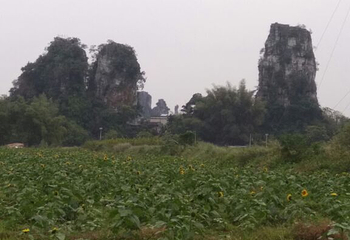 上林霞客桃源壮乡旅游度假区第 17 张图片