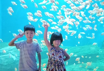 开封极地海洋世界第 32 张图片