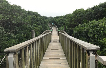 香港湿地公园第 41 张图片