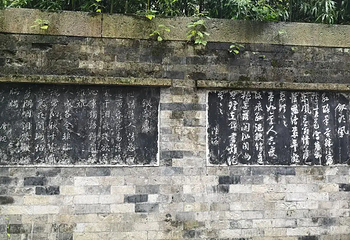 百草园第 27 张图片