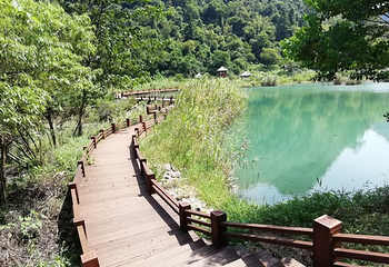 贵阳红枫大冲村樱花园第 14 张图片