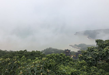 大鹿岛第 42 张图片