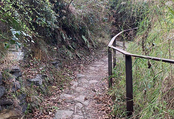 高荡千年布依古寨文化旅游景区第 30 张图片