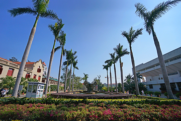 厦门大学(思明校区)第 81 张图片