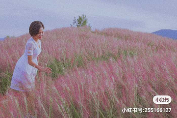 雨花谷薰衣草庄园第 13 张图片