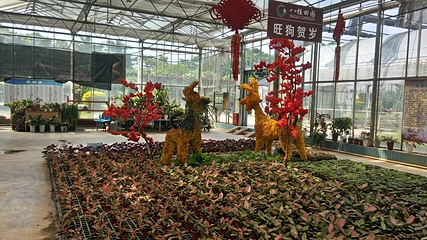 八桂田园第 13 张图片