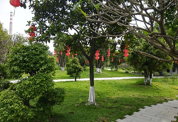南海神庙第 38 张图片