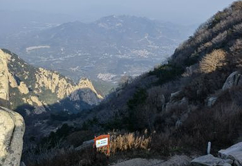 泰山风景区第 203 张图片